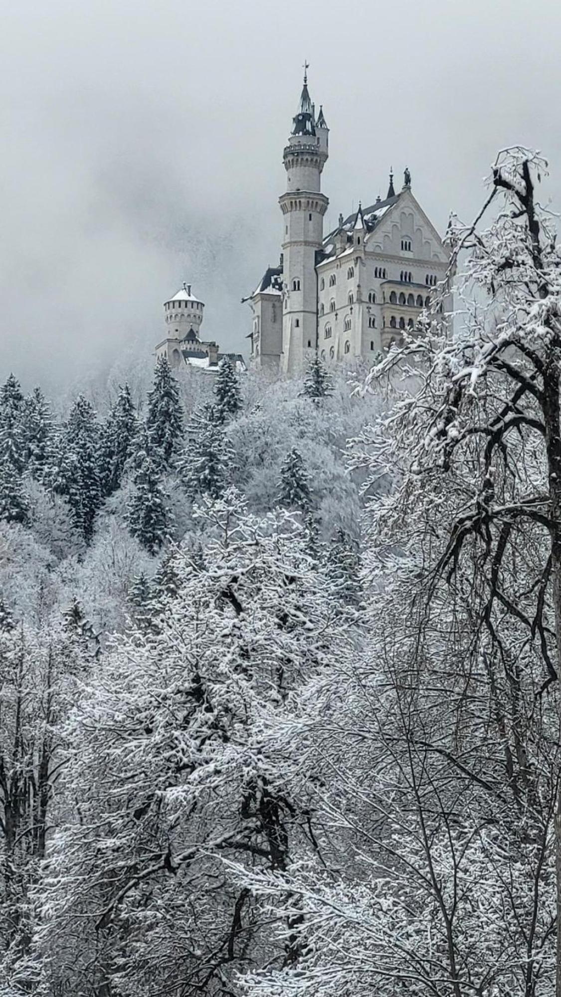 House La Neuschwanstein Blick - Budget City Hotel Füssen Dış mekan fotoğraf