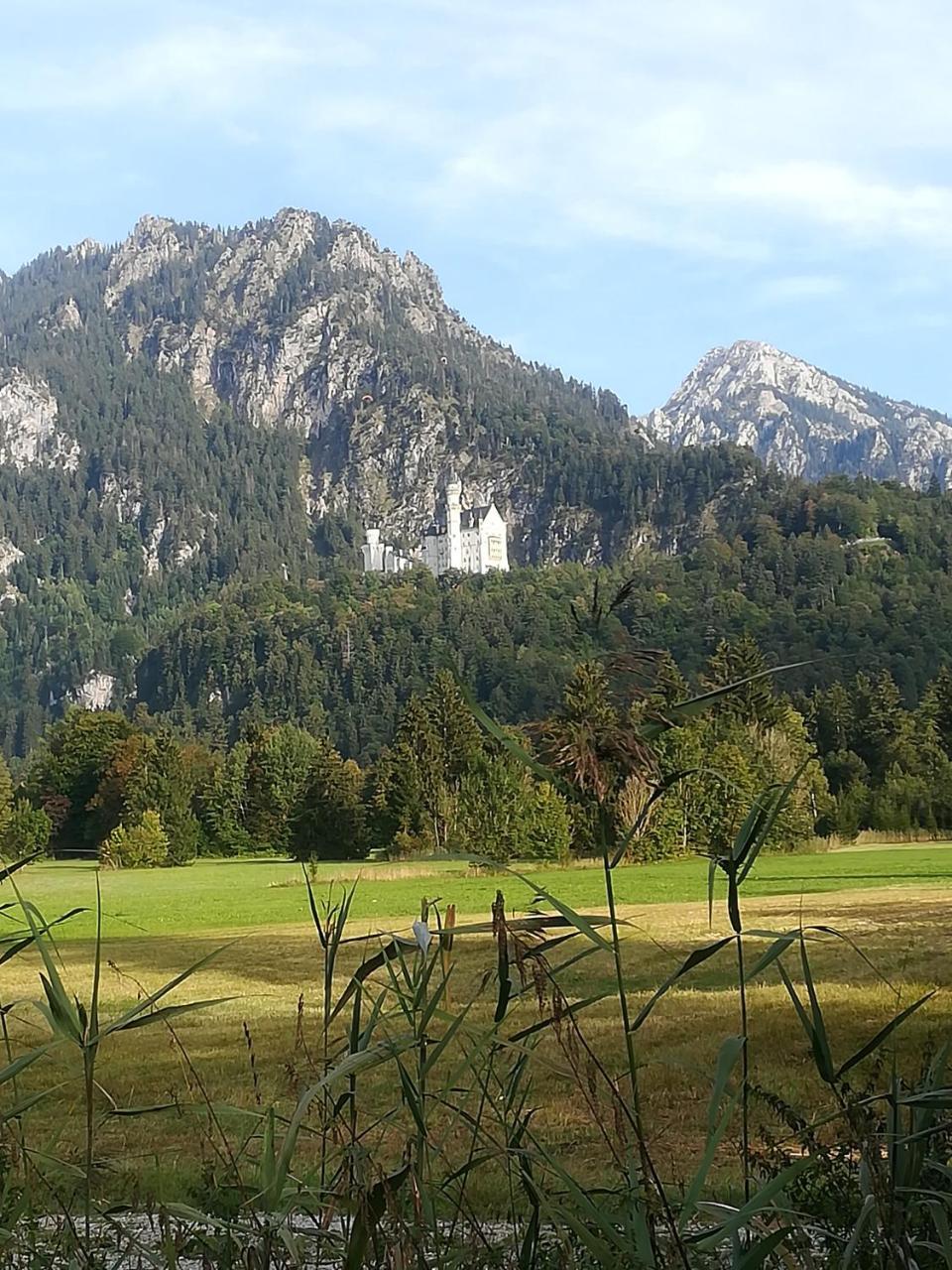 House La Neuschwanstein Blick - Budget City Hotel Füssen Dış mekan fotoğraf