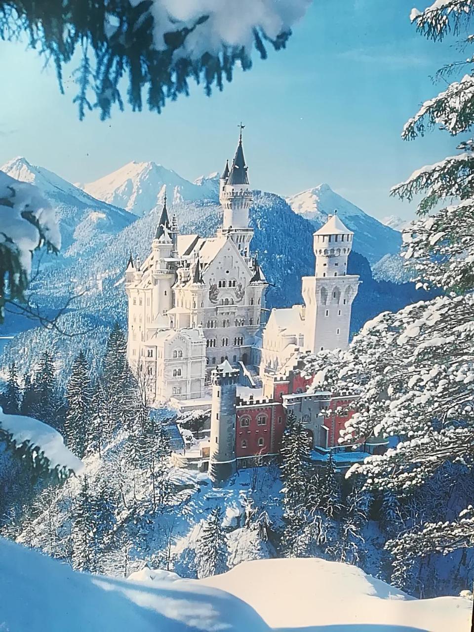 House La Neuschwanstein Blick - Budget City Hotel Füssen Dış mekan fotoğraf